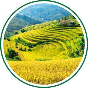 Miền Bắc